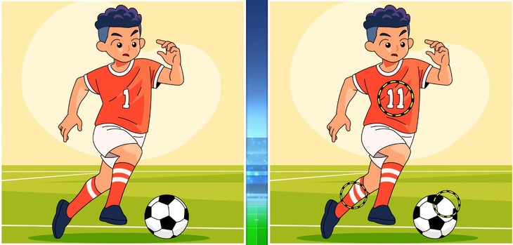 con vịt - Ảnh 6.