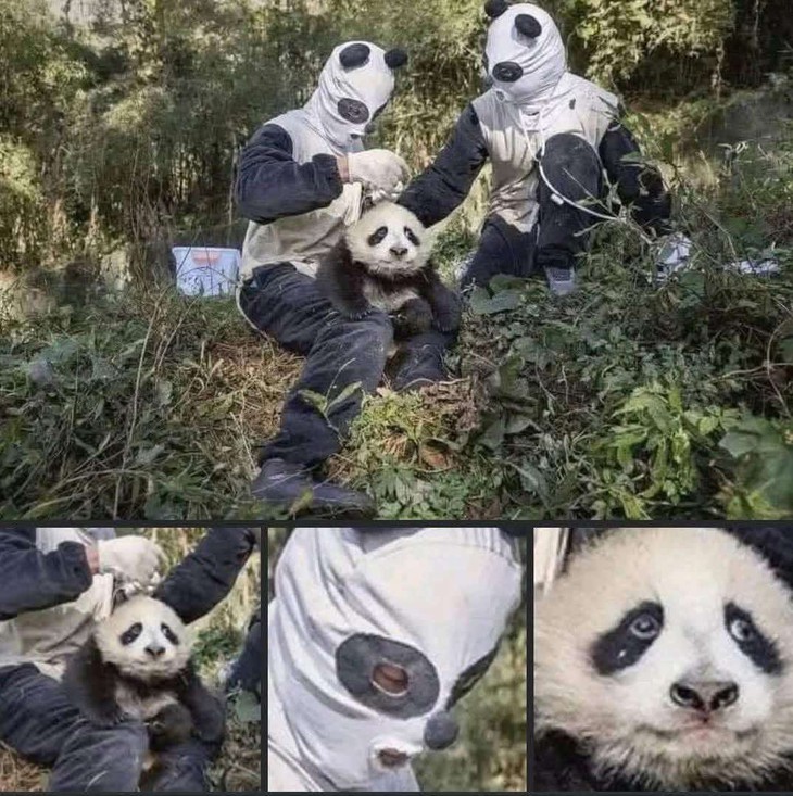 đường tình - Ảnh 6.