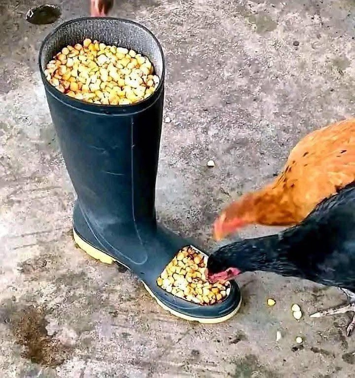 đường tình - Ảnh 4.