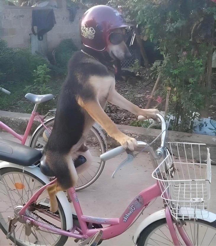 đường tình - Ảnh 2.