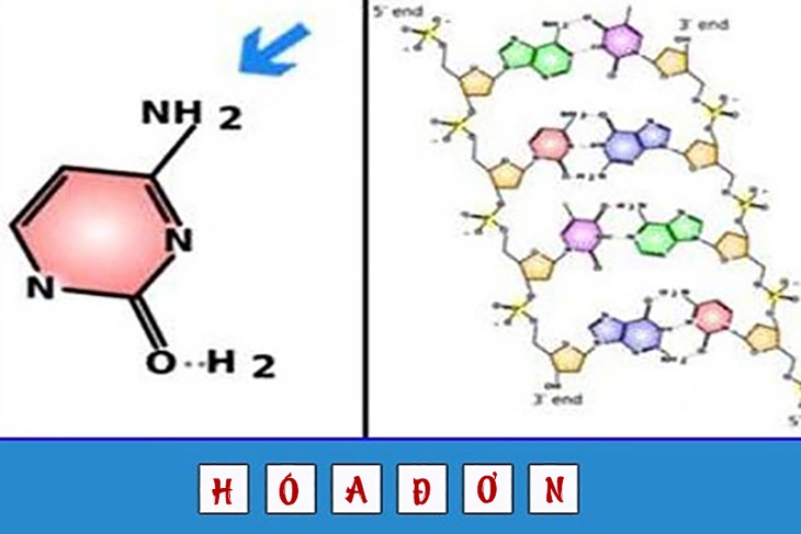 đuổi hình bắt chữ - Ảnh 4.