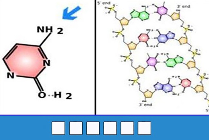 đuổi hình bắt chữ - Ảnh 3.