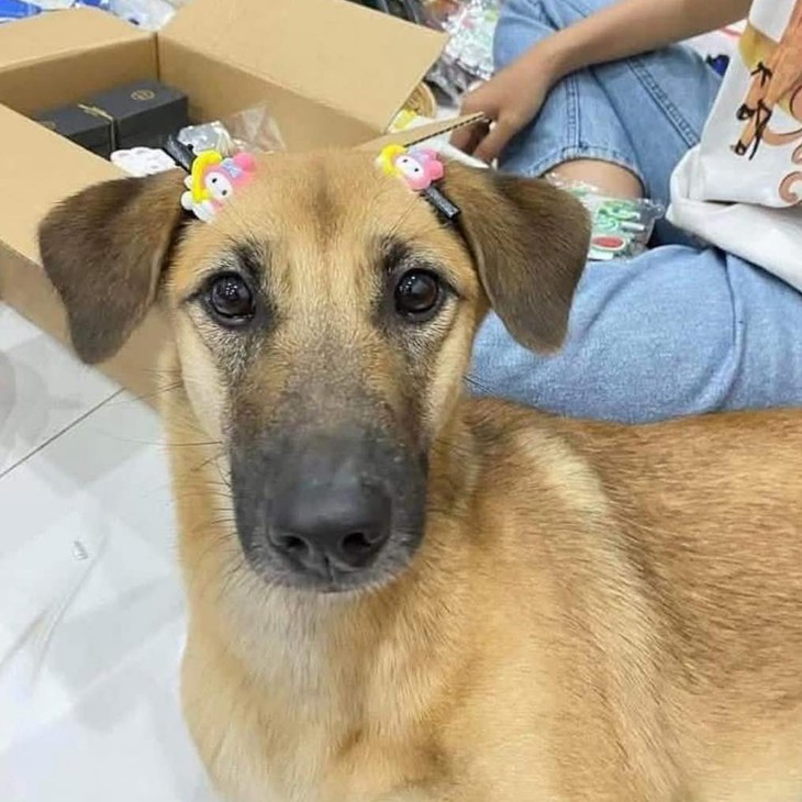 phụ huynh - Ảnh 4.