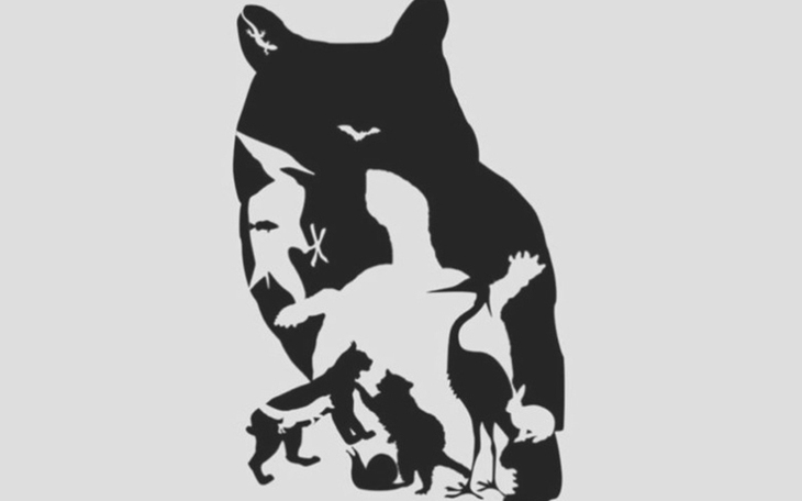 Thử tài tinh mắt: Bao nhiêu con vật ở trong hình? - Ảnh 7.