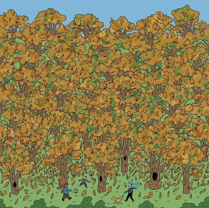 Thử tài tinh mắt - Ảnh 3.