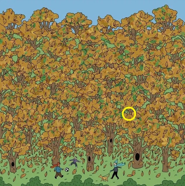 Thử tài tinh mắt - Ảnh 4.