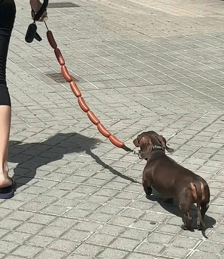 trái bầu - Ảnh 2.