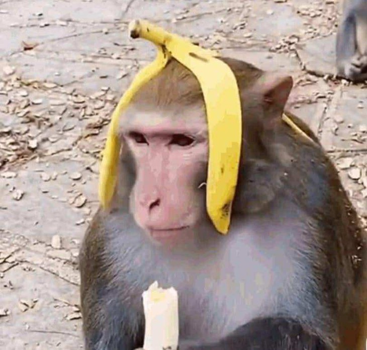 trái bầu - Ảnh 7.