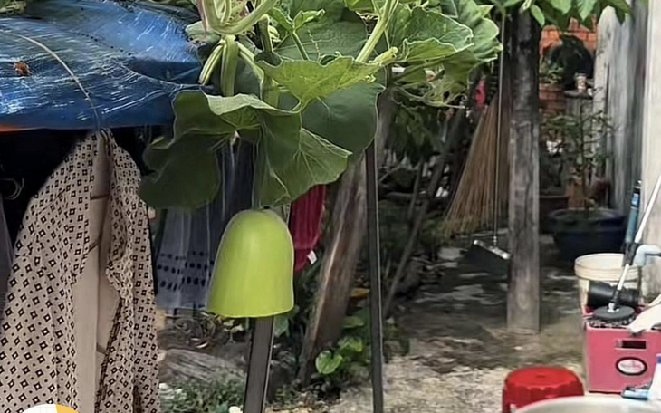 Ngân Collagen bị soi mặc áo 'Christian Diro', mua 'túi hiệu' theo lố - Ảnh 2.