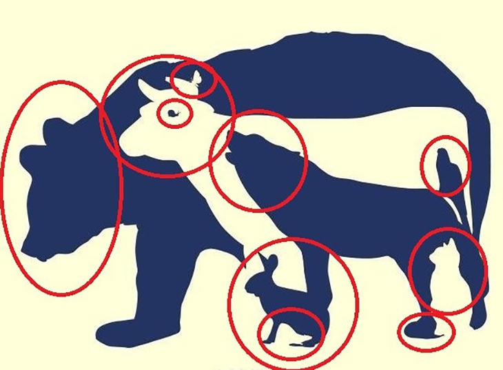 Thử tài tinh mắt - Ảnh 2.