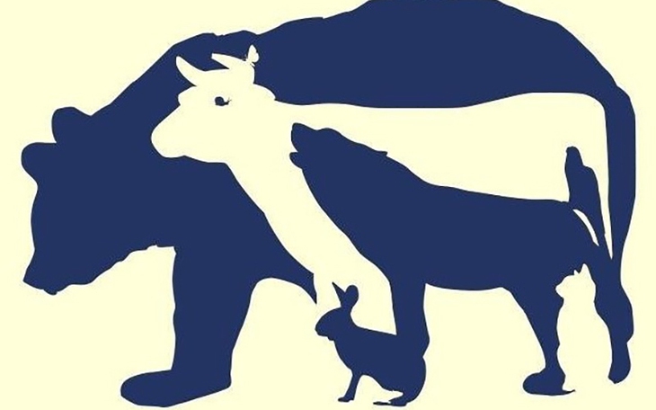 Thử tài tinh mắt: Có bao nhiêu con vật trong hình? - Ảnh 8.