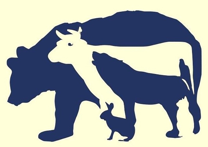 Thử tài tinh mắt - Ảnh 1.