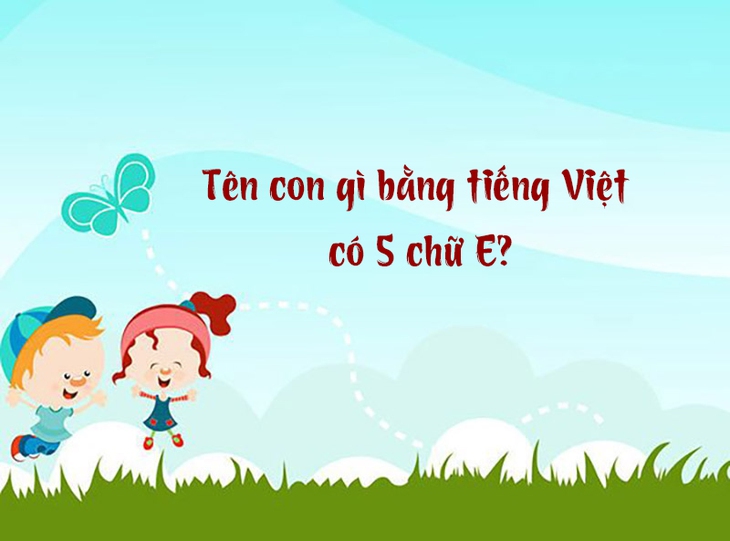 câu đố - Ảnh 1.