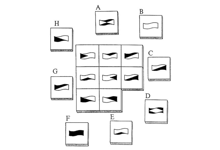 câu đố - Ảnh 3.
