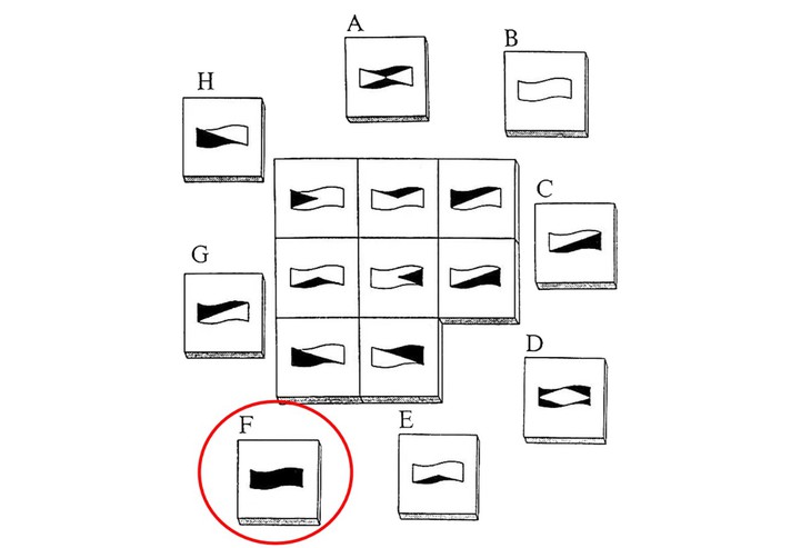 câu đố - Ảnh 4.