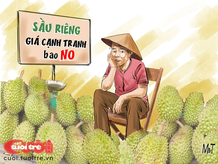 sầu riêng - Ảnh 1.