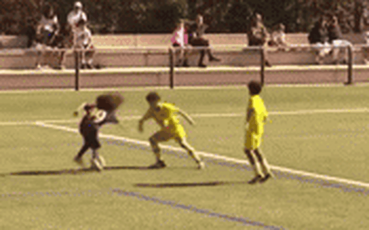 Fan ôm đầu vì pha bỏ lỡ bàn thắng khó tin của cầu thủ Millwall - Ảnh 4.