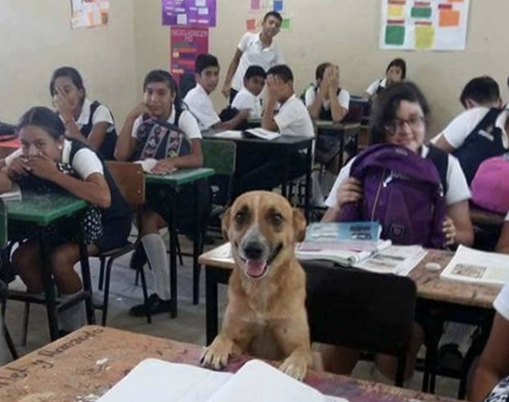 vệ sinh - Ảnh 5.