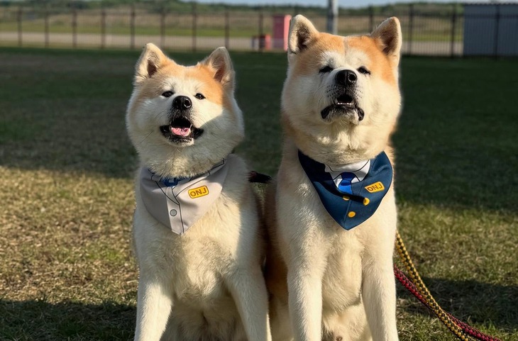 giám đốc - Ảnh 1.