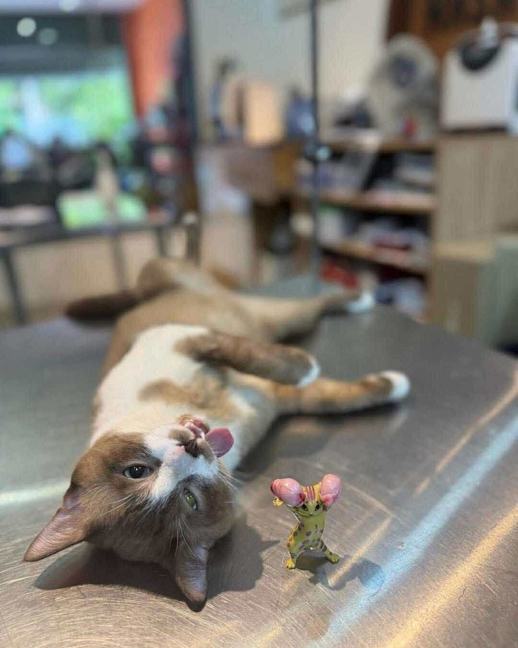 khối nghỉ hè - Ảnh 6.