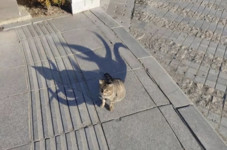 khối nghỉ hè - Ảnh 3.