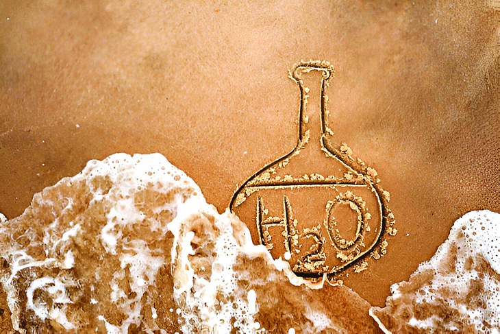 biển học khoa học - Ảnh 1.