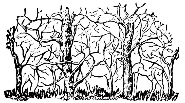 Thử tài tinh mắt - Ảnh 1.