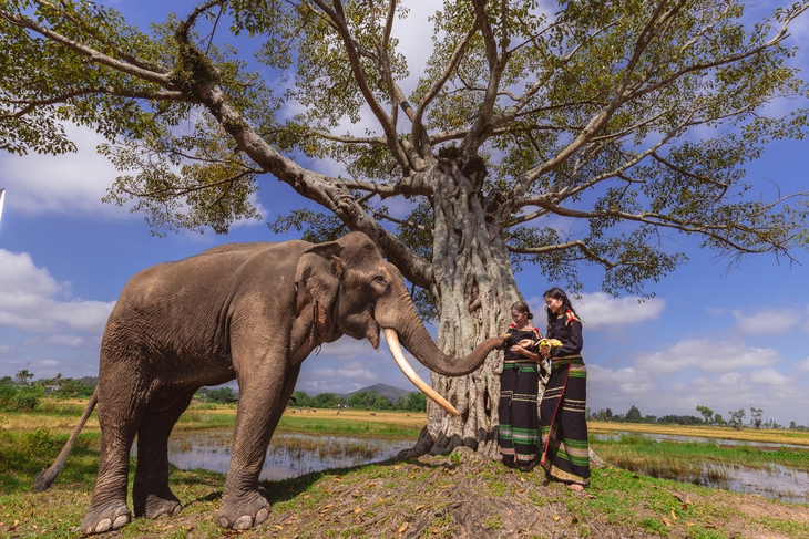 H’Hen Niê - Ảnh 2.