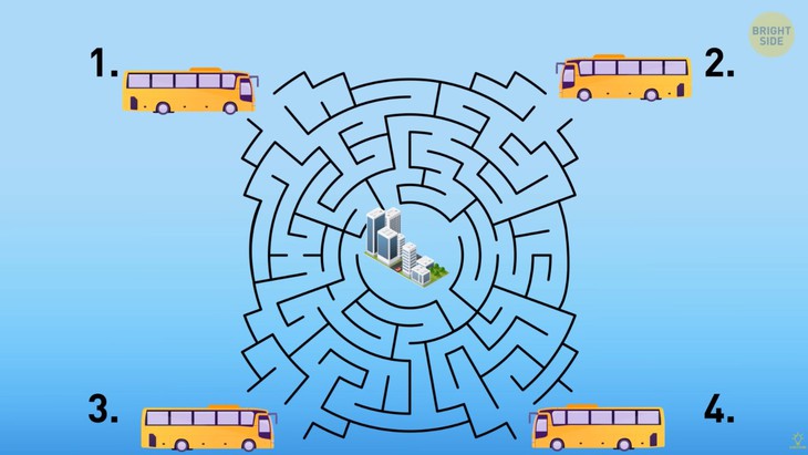 câu đố - Ảnh 3.