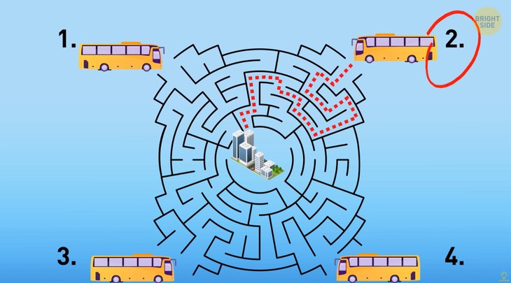 câu đố - Ảnh 4.