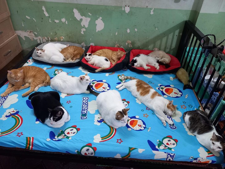 văn phòng - Ảnh 5.