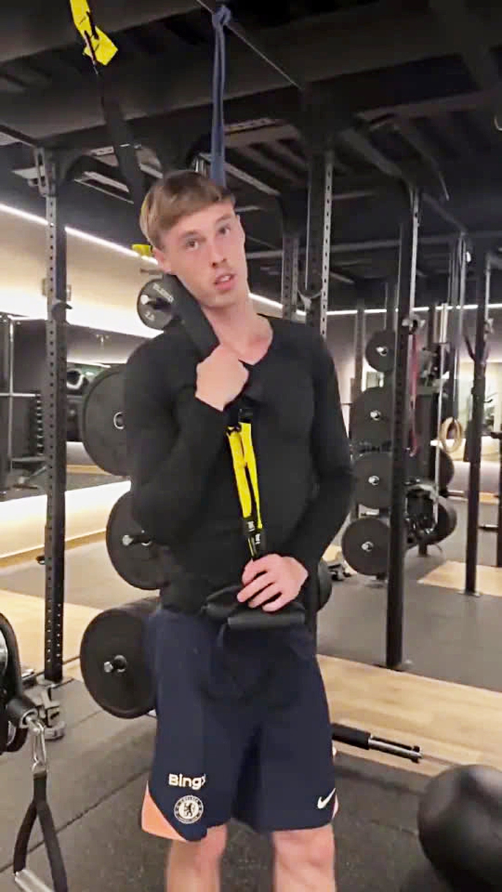 Palmer hài hước nói cách 100 người đánh bại một con khỉ đột - Ảnh 1.