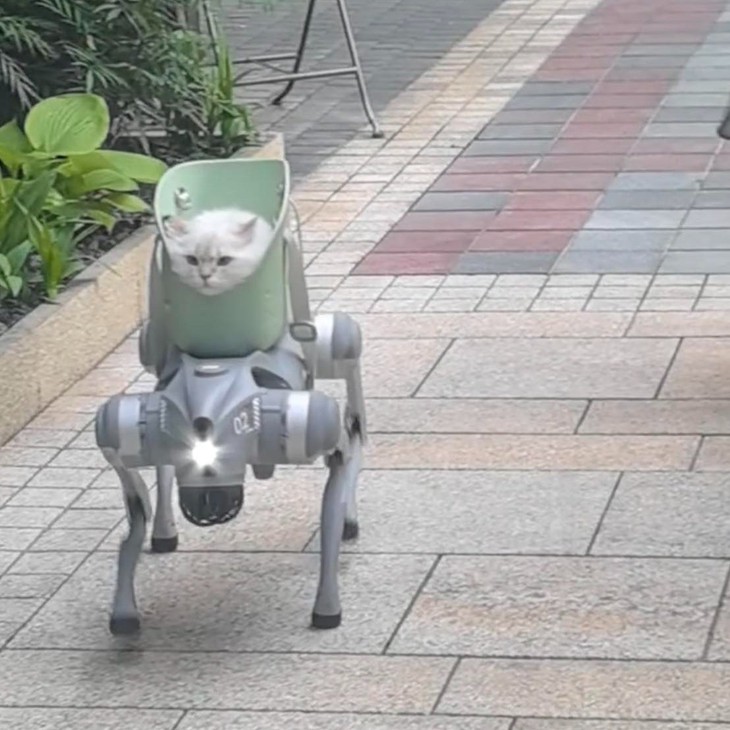 du lịch - Ảnh 5.