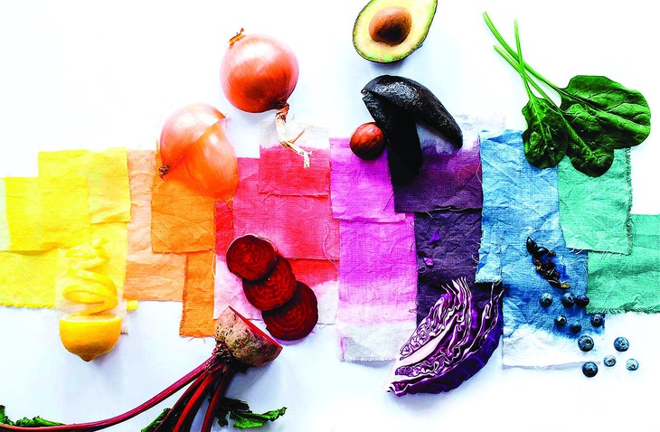 phẩm màu - Ảnh 1.