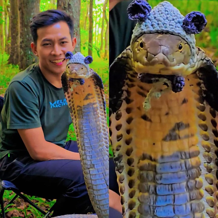 hướng dẫn - Ảnh 4.