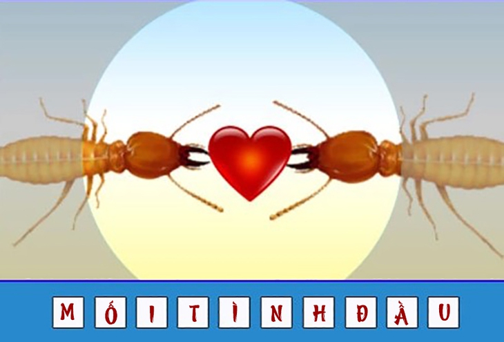 đuổi hình bắt chữ - Ảnh 2.