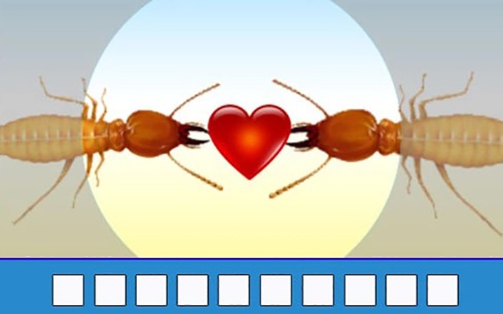 Thử tài nhanh trí với đuổi hình bắt chữ (P169) - Ảnh 5.