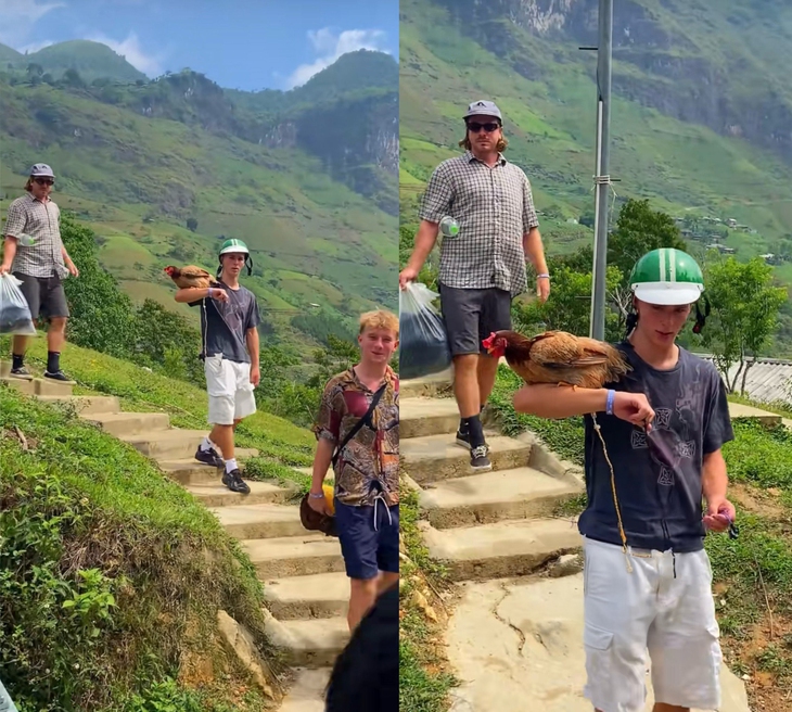 Dương Quá - Ảnh 1.