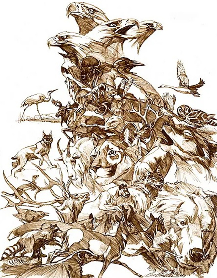 tinh mắt - Ảnh 1.