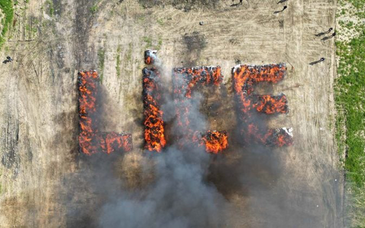 Sau KFC, đến lượt Jollibee lên tiếng về tài khoản cợt nhả - Ảnh 5.