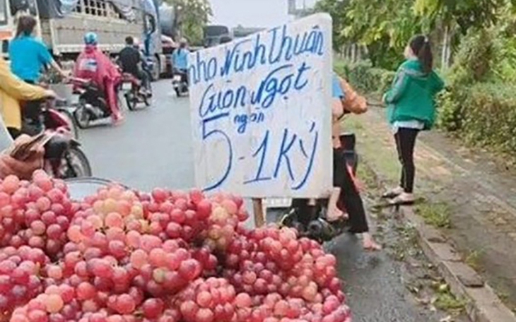 Thử tài tinh mắt: Có bao nhiêu con vật trong hình? - Ảnh 7.