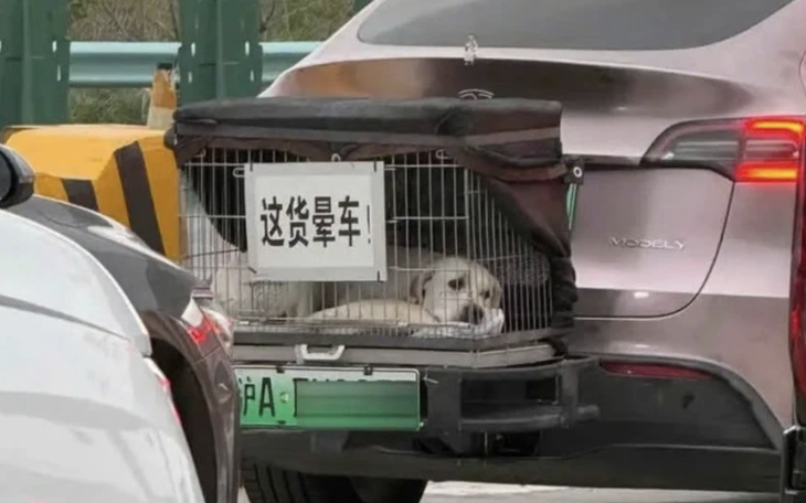 Tiếp viên hàng không 'trần như nhộng', nhảy tưng bừng trên máy bay - Ảnh 4.