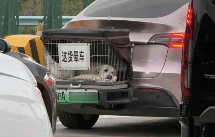 du lịch - Ảnh 1.