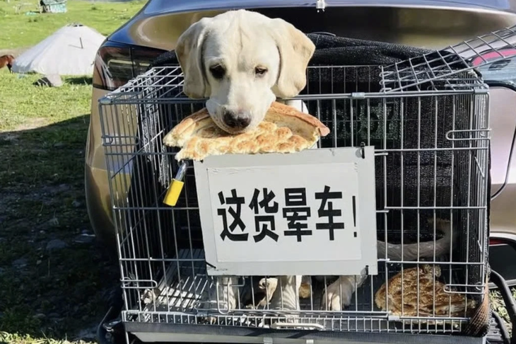 du lịch - Ảnh 2.