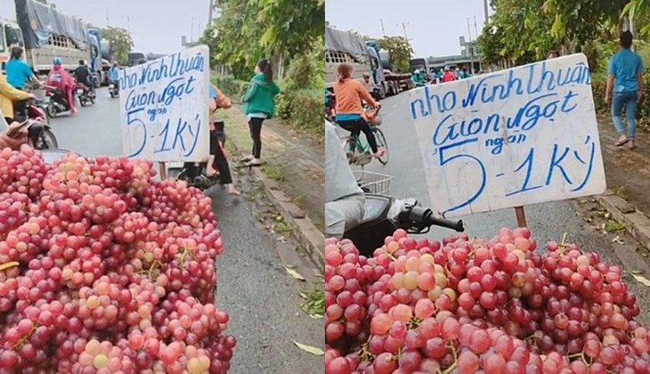 Nho Ninh Thuận - Ảnh 2.