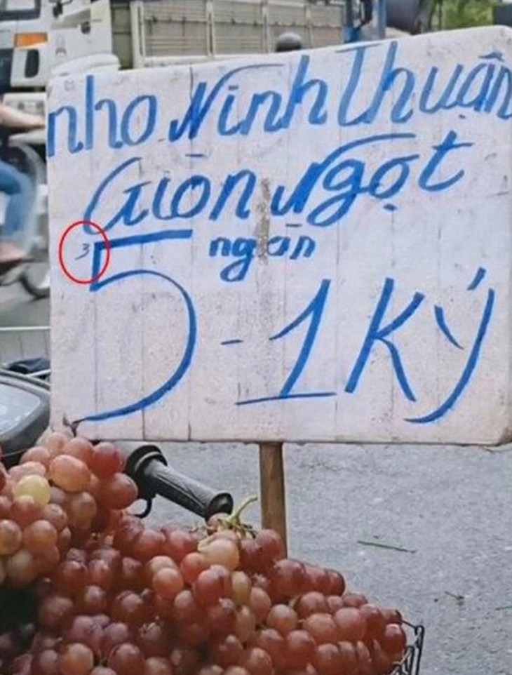 Nho Ninh Thuận - Ảnh 3.