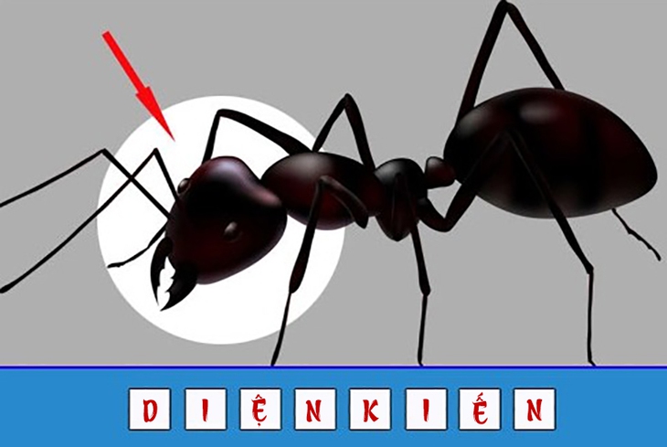 đuổi hình bắt chữ - Ảnh 2.