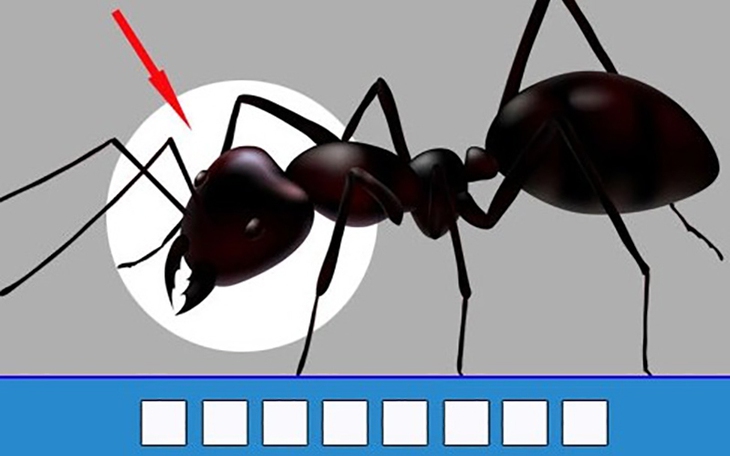 Thử tài nhanh trí với đuổi hình bắt chữ (P202) - Ảnh 5.