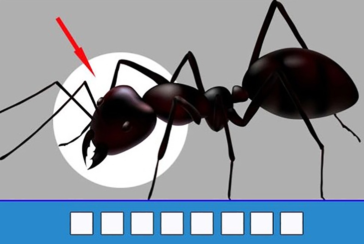 đuổi hình bắt chữ - Ảnh 1.