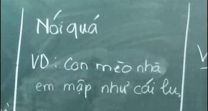 Ảnh vui 11-6: Dùng biện pháp nói quá để tả con mèo - Ảnh 1.